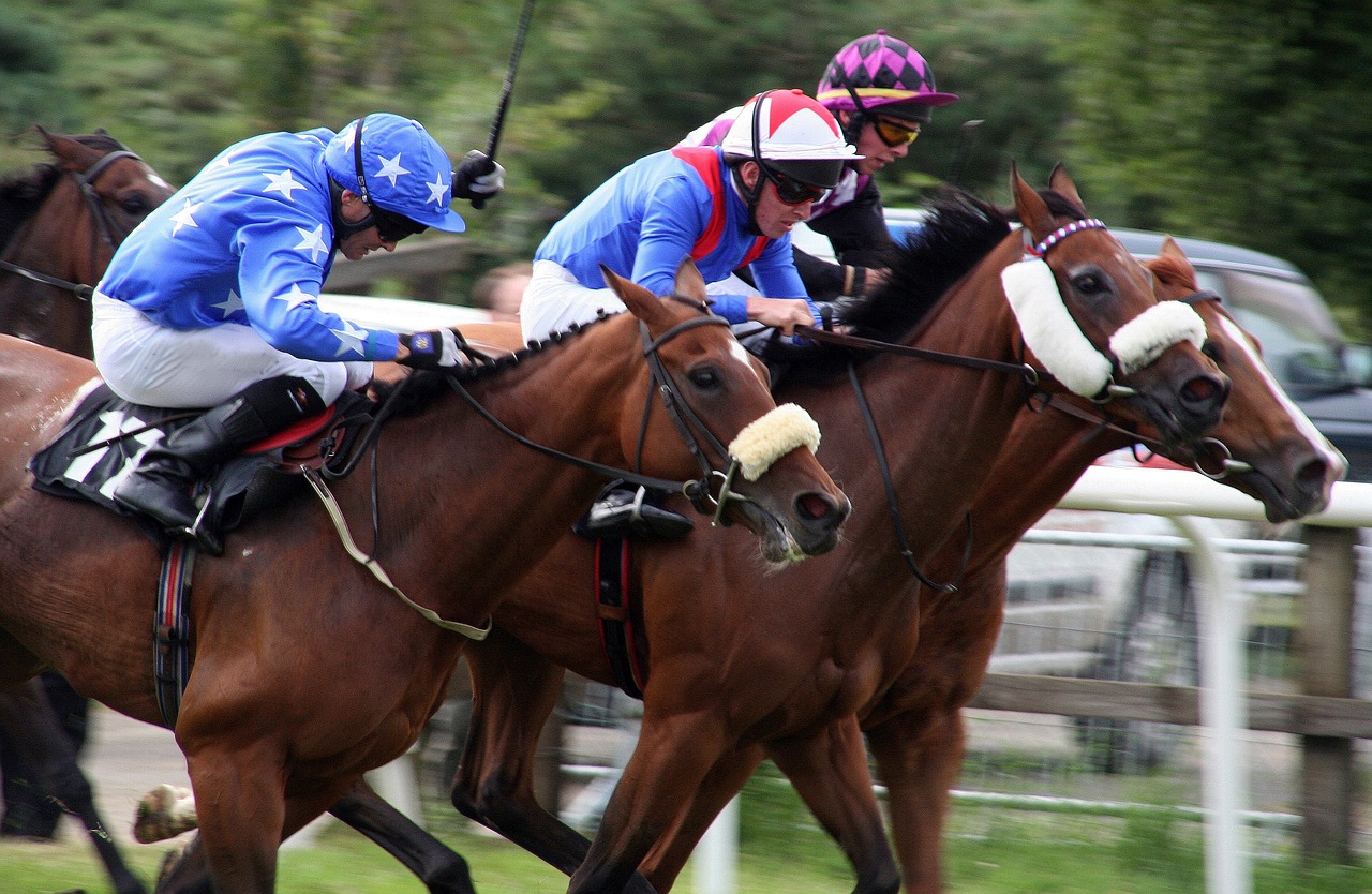 top ten race horses